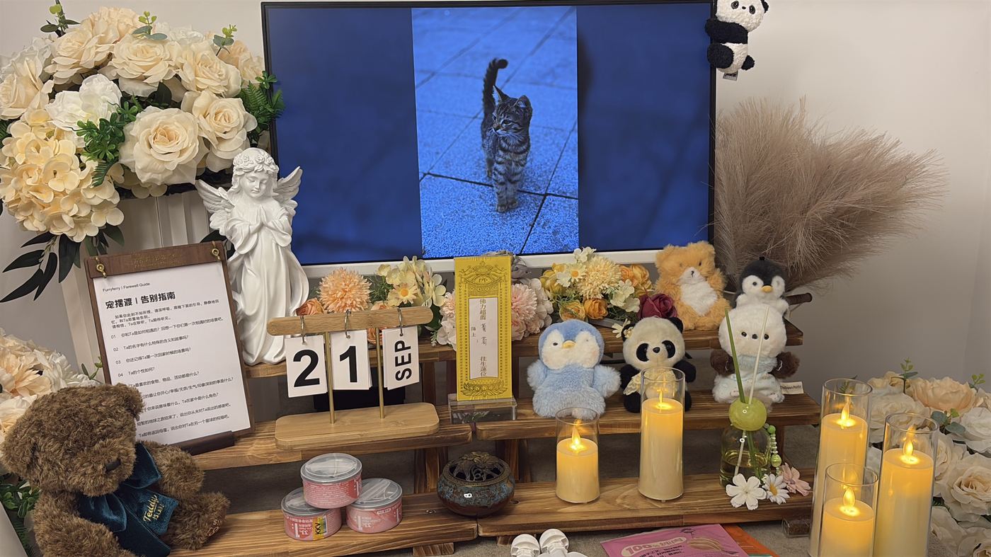 如何面对宠物离世的悲伤？写给新乡养宠人的心理支持